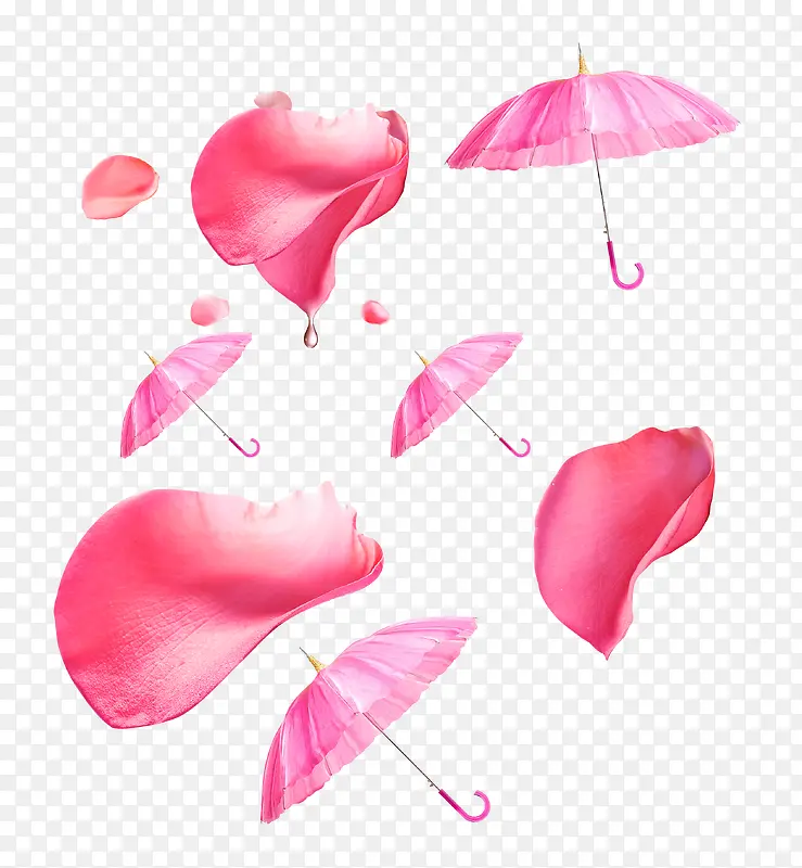 伞和花