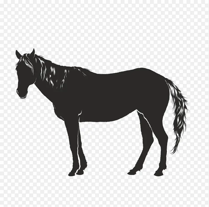 马匹免抠单色图案