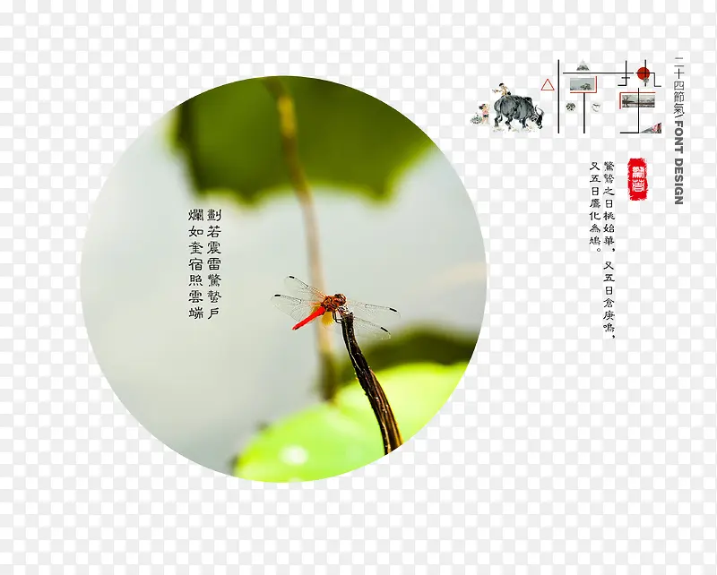古风二十四节气惊蛰