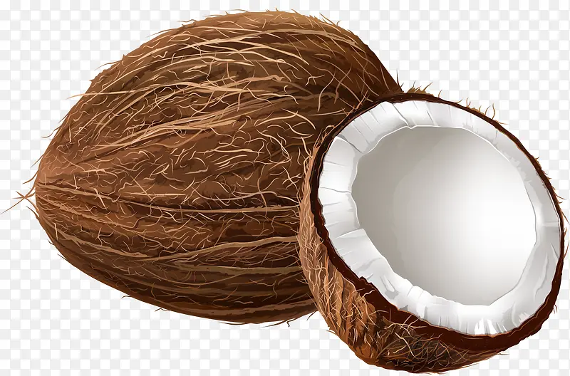 天然椰子