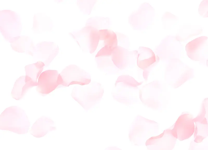 粉色花瓣碎片海报背景