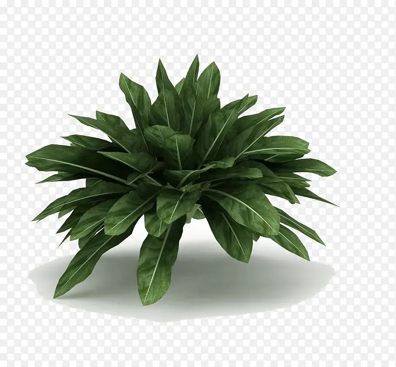 绿色植物3d模型