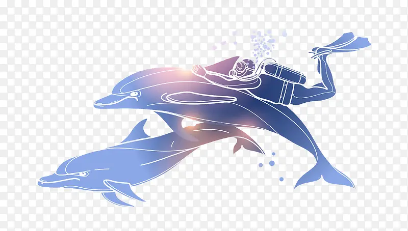 海豚与潜水员