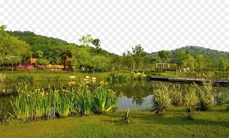芜湖自然风景