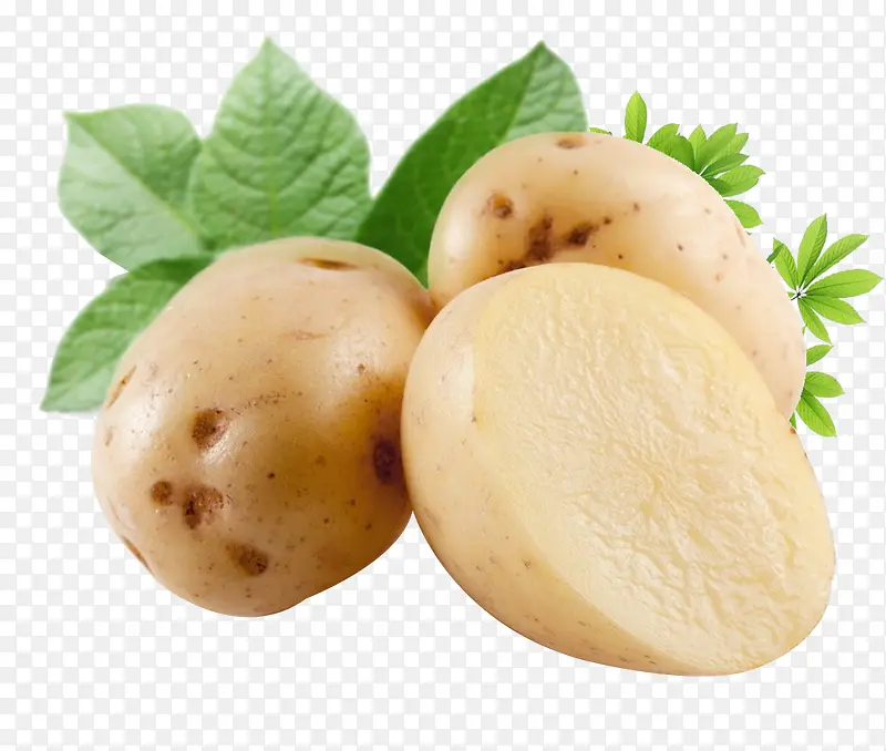 高清摄影小小的土豆
