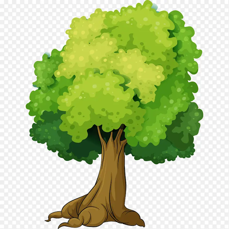 树 树木 绿色植物