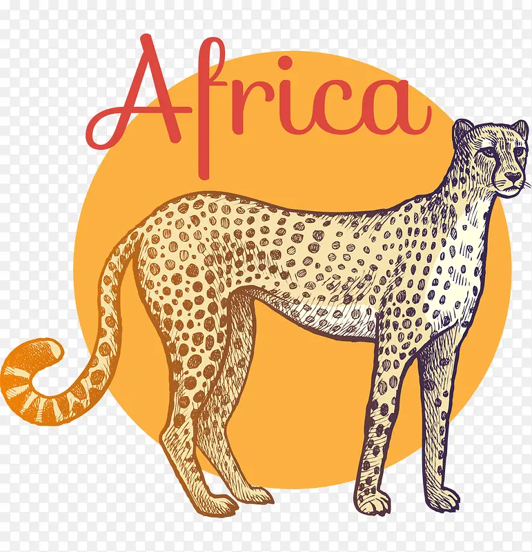 手绘非洲豹陆上动物