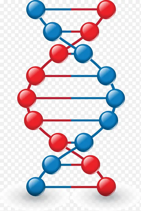 DNA模型矢量图