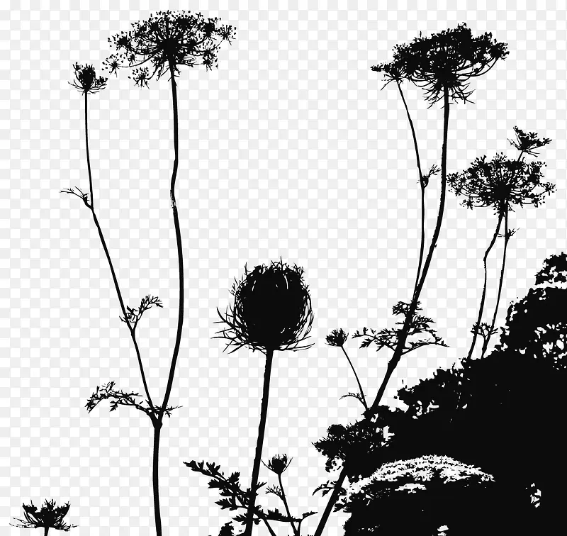 黑色花卉植物背景装饰