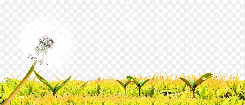 绿色草坪边框纹理