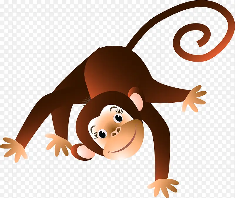 趴在地上的小猴子