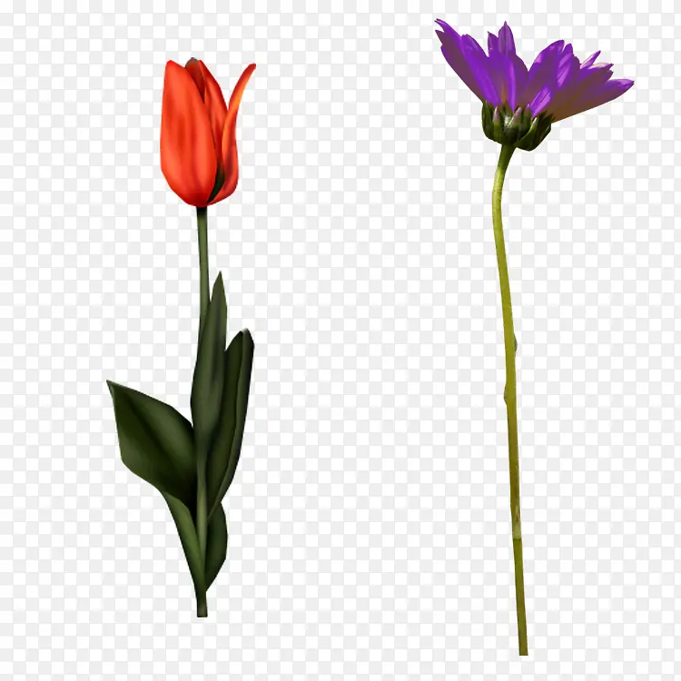 已开花草免抠PNG图片素材