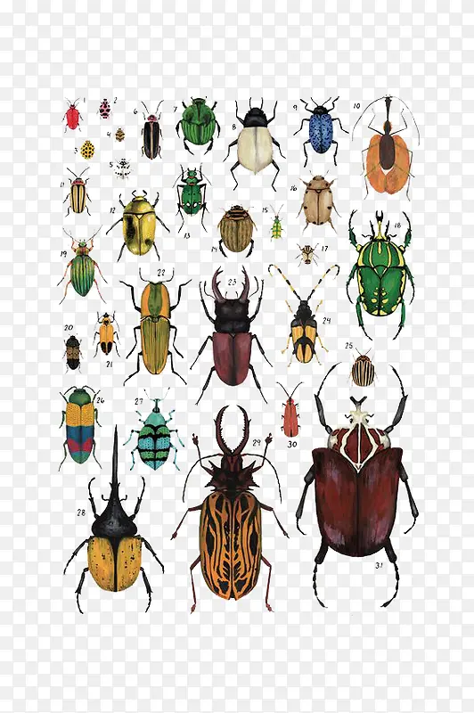 卡通昆虫甲壳虫