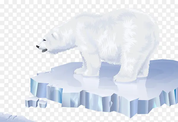 冰块上的北极熊素材