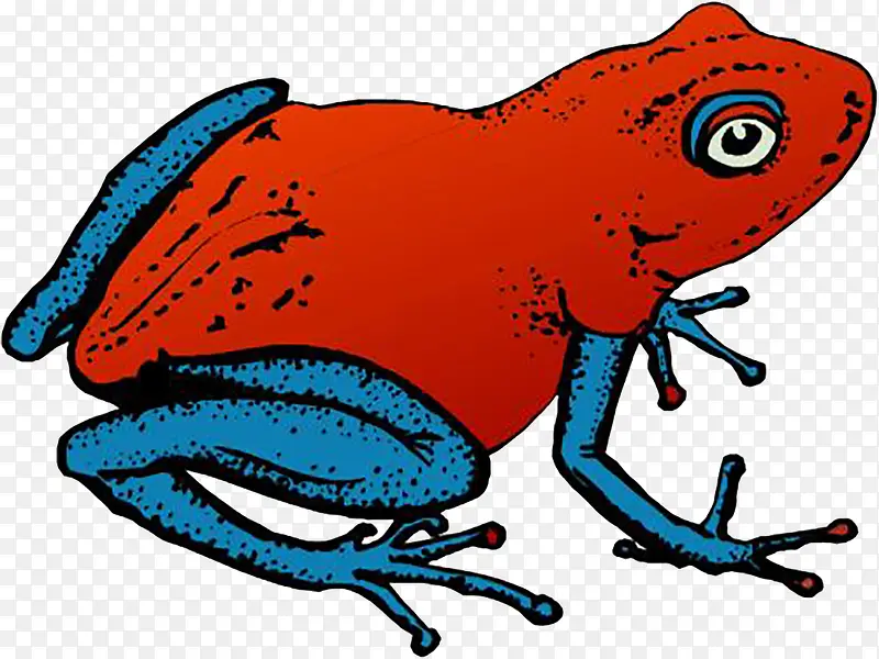 红色皮肤牛蛙