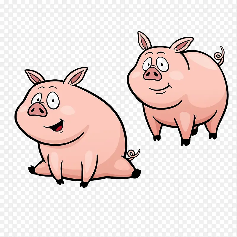猪猪很可爱