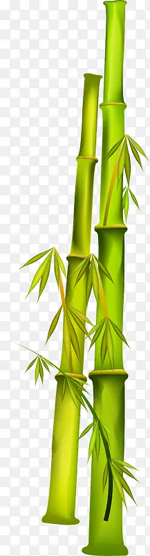 大自然绿色竹子竹叶