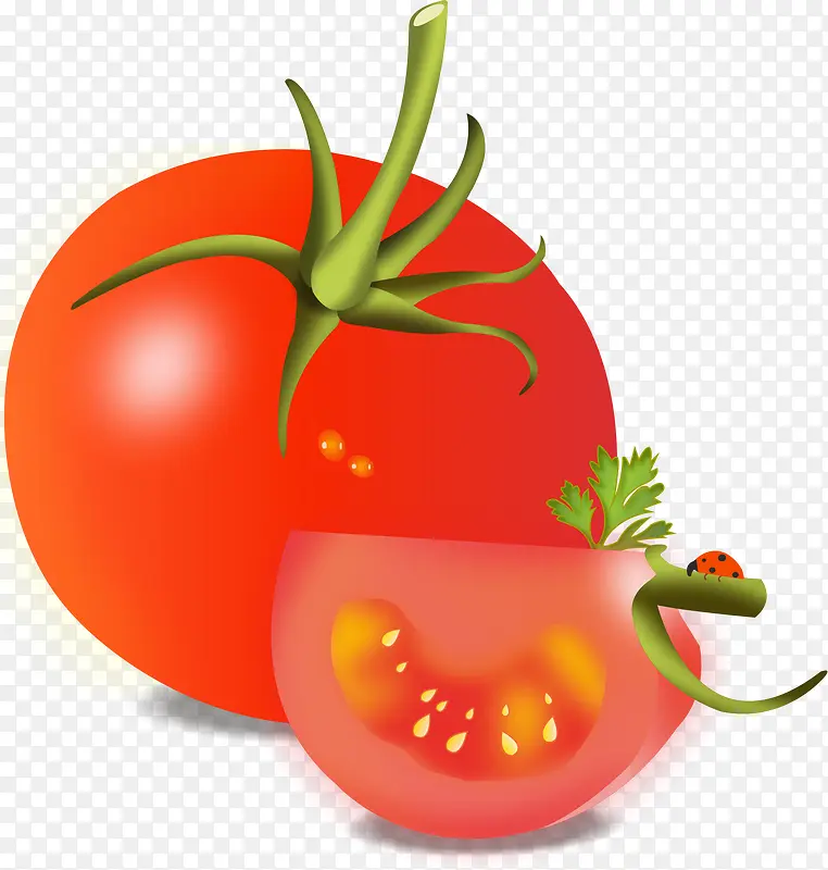 西红柿透明元素