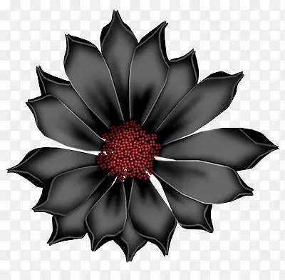 黑色花瓣