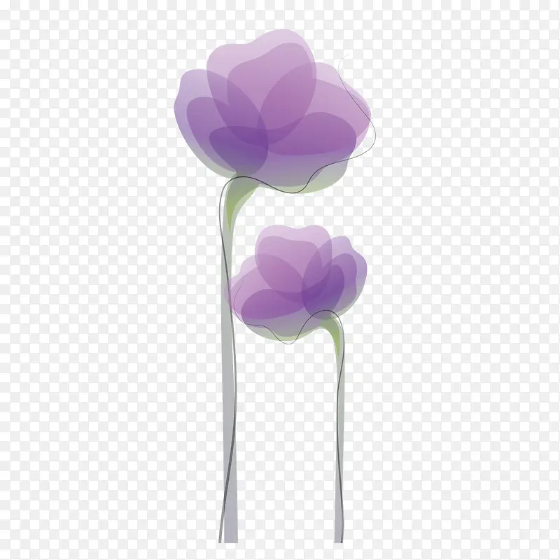 矢量彩绘紫草紫色花朵