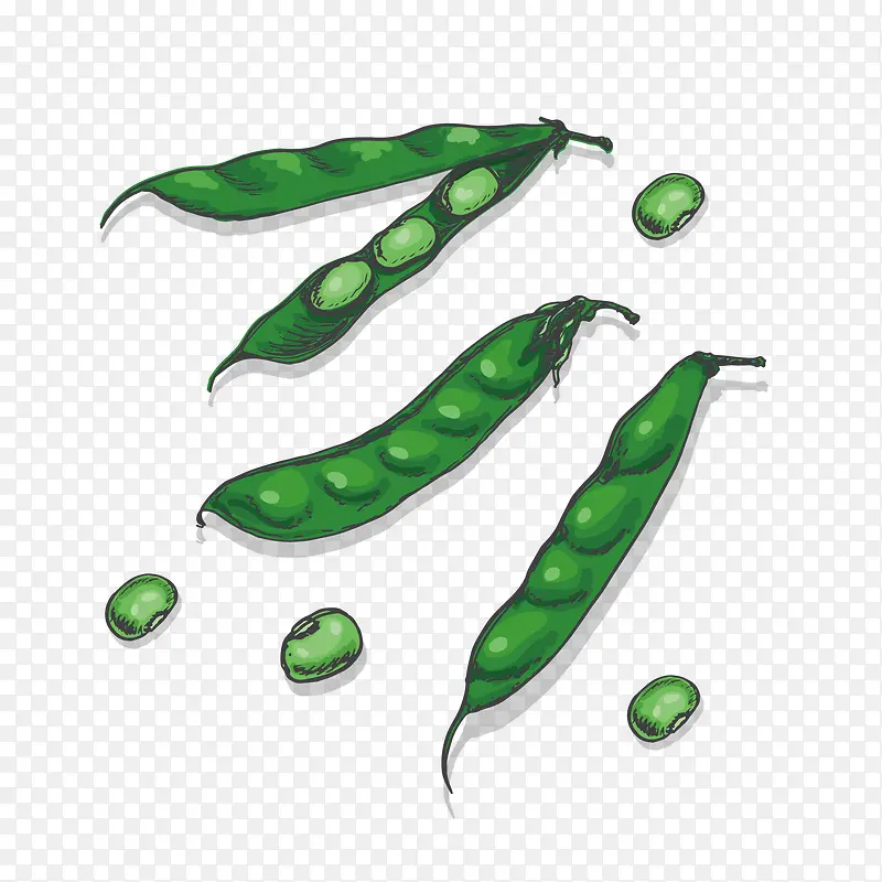 绿色手绘豆子矢量图