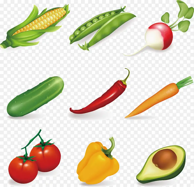 矢量元素蔬菜与粗粮