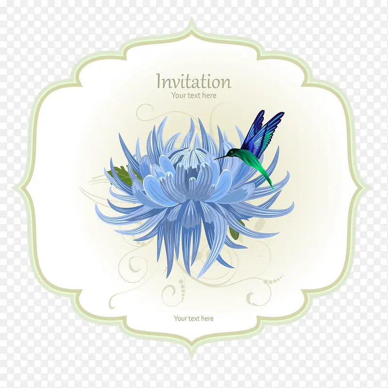 美丽的蓝色菊花标签