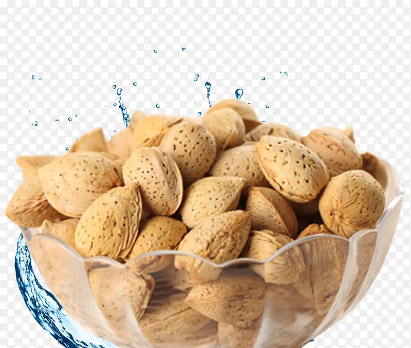 水中巴旦木
