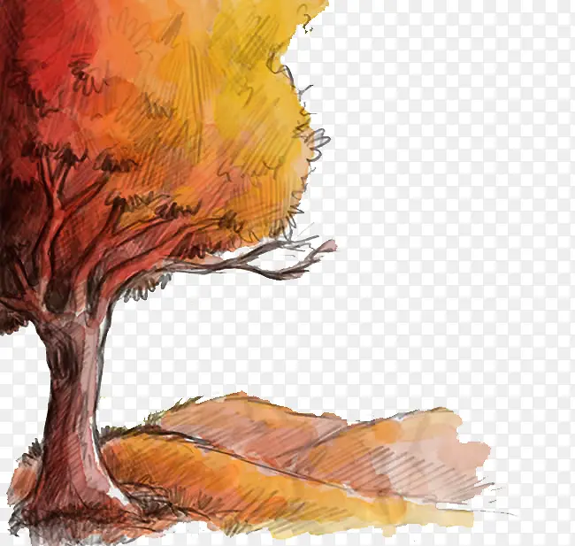 秋季的树