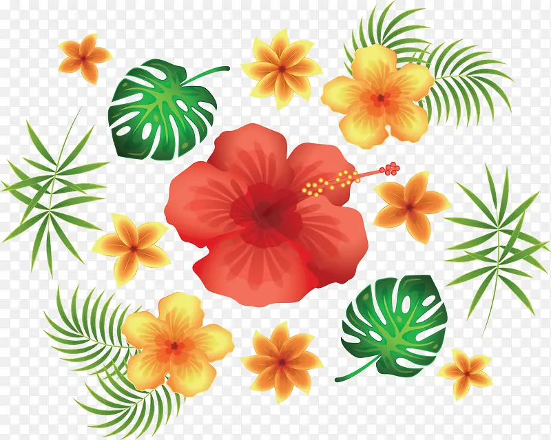 美丽茂盛夏日花丛