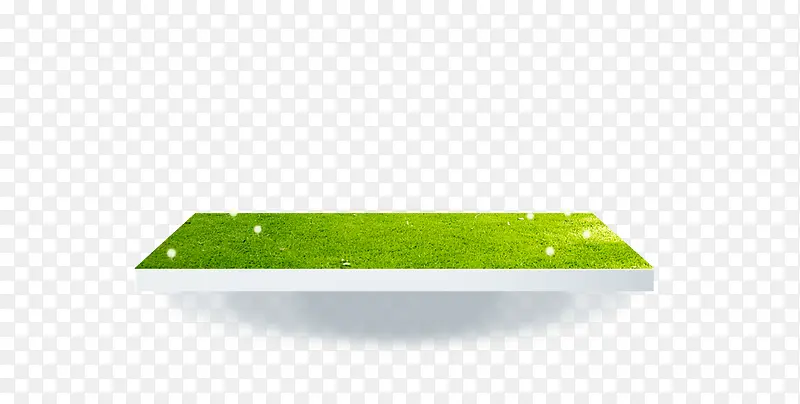 带白色蒲公英绿色草坪
