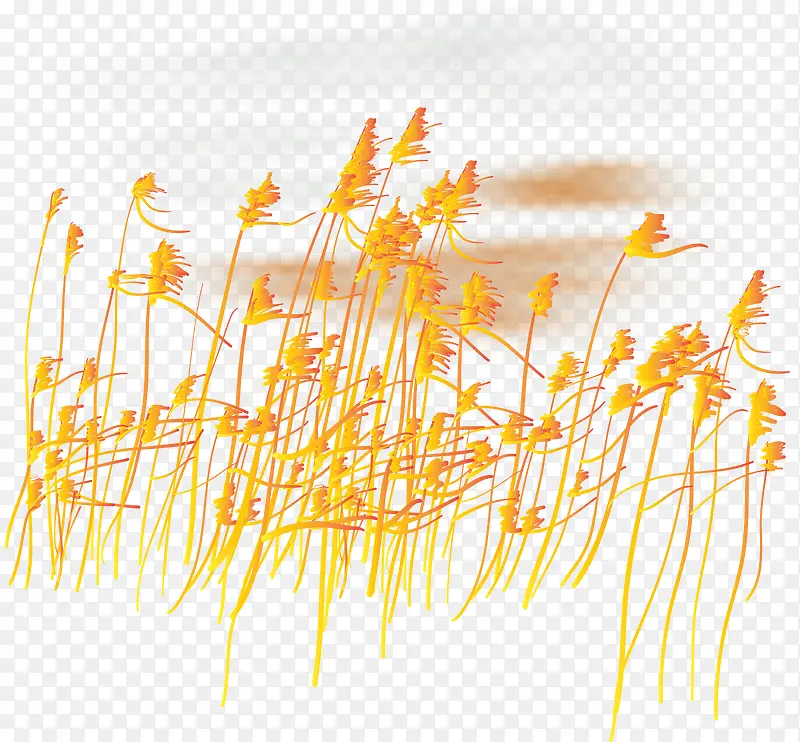 黄昏芦苇荡矢量