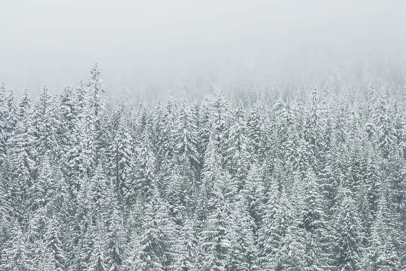 大雪茫茫风景景观
