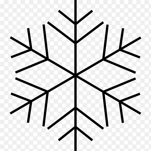 Snowflake Cold Winter 图标