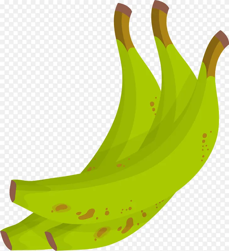 未成熟的矢量卡通香蕉
