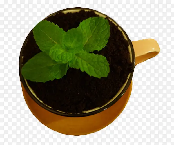 盆栽造型奶茶俯视照片