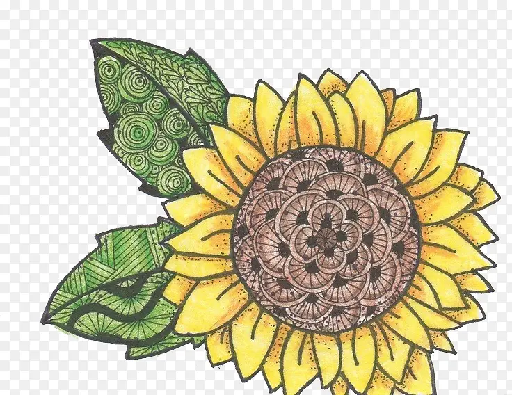 水彩手绘向日葵