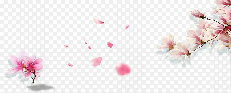 漂浮的花瓣