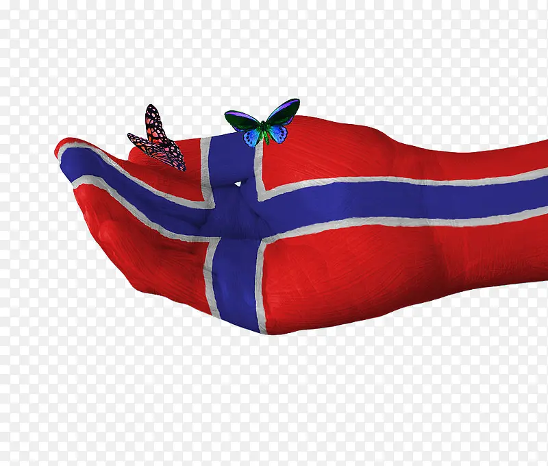挪威国旗手绘蝴蝶创意图案