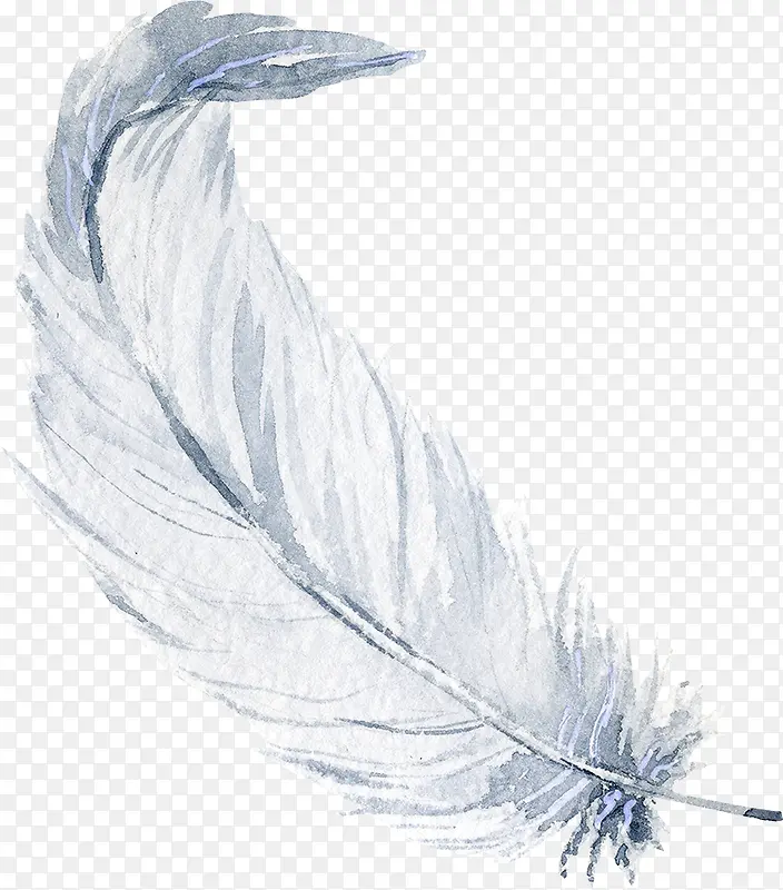 白色手绘羽毛装饰