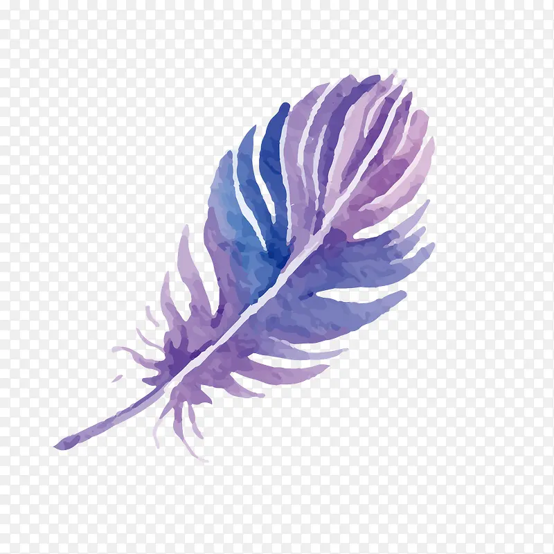 紫色的手绘羽毛装饰
