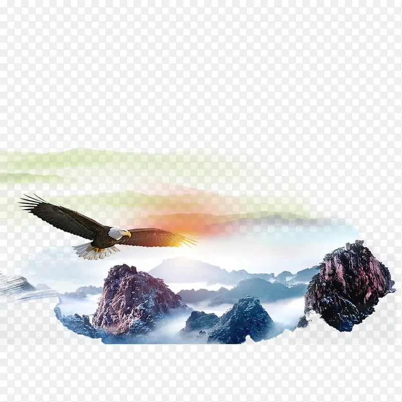 老鹰飞向天PNG图片素材下载_图片编号ypgvjvoq-免抠素材网