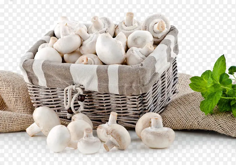 蘑菇篮子