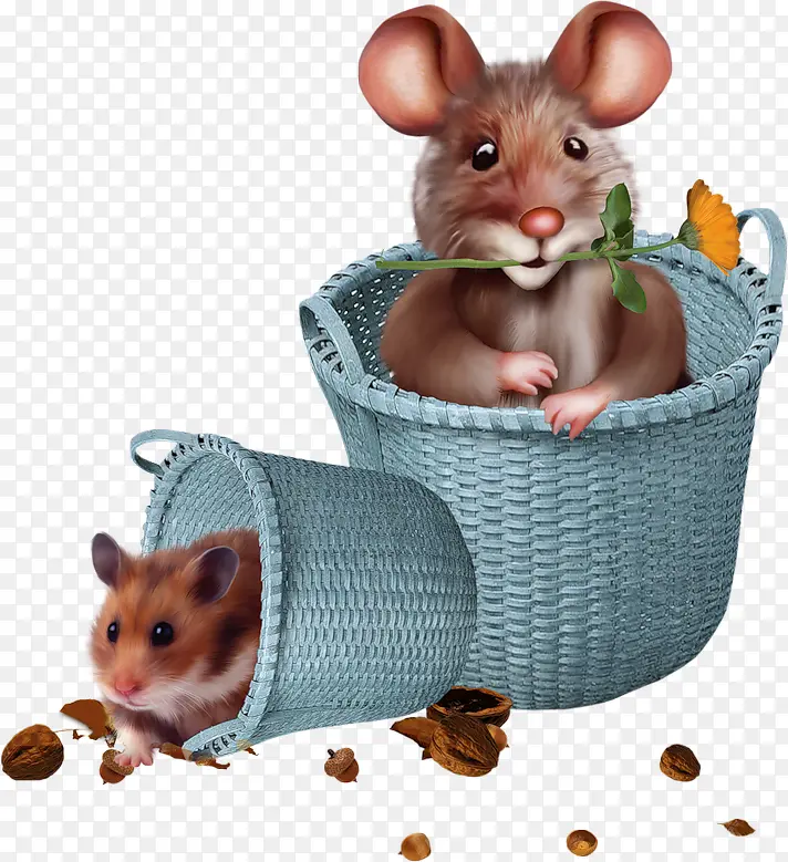 篮子里的小老鼠