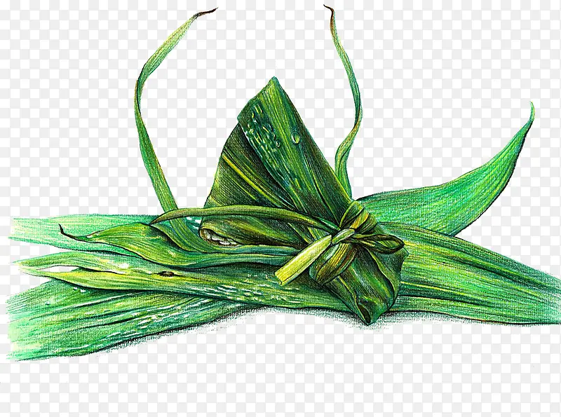 绿色创意手绘粽子美食元素