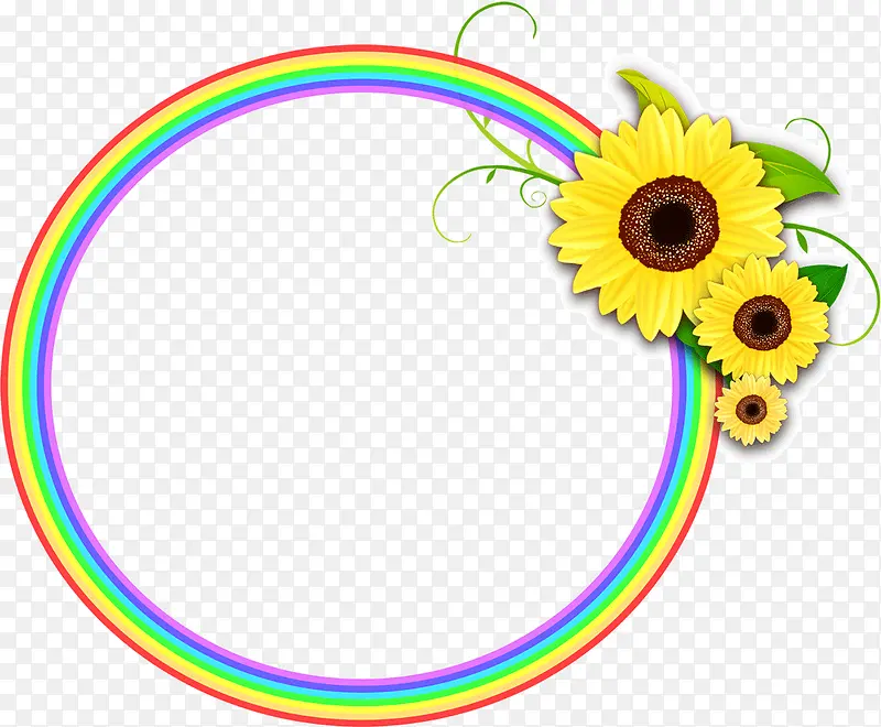 彩色圆圈边框花卉点缀