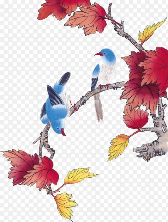 枫树上蓝色小鸟