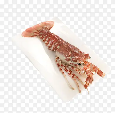 莫桑比克龙虾