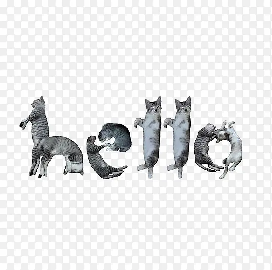 创意猫咪组成的英文HELLO
