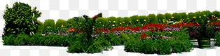创意高清摄影花园花坛花卉